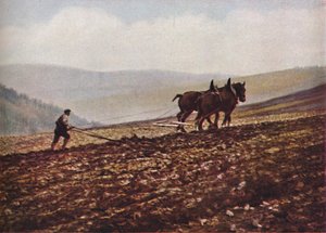 Scozia, c1930s da Unbekannt