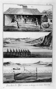 Pesca in mare, aringhe e sardine, 1751-1777
