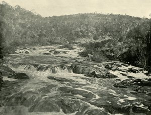 Secondo Bacino, Fiume South Esk, 1901