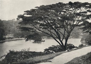 Tempio del Sacro Dente e Biblioteca a Kandy, visto dal Victoria Drive da Unbekannt