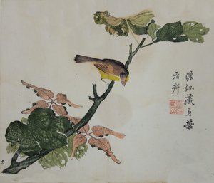 Semi e Aleurites Cordata: Pagina dal Manuale del Giardino del Seme di Senape, 1782, 2a edizione da Unbekannt