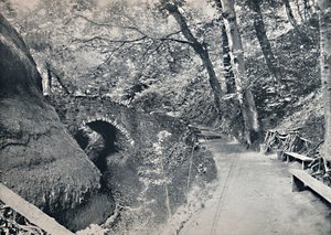 Shanklin - La Gola da Unbekannt