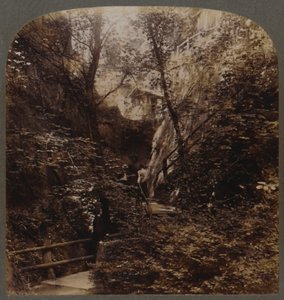 Shanklin Chine di fama mondiale, Isola di Wight, Inghilterra