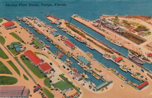 Darsene della flotta di gamberetti, Tampa, Florida, anni 