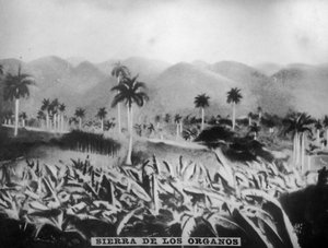 Sierra de los Organos, 1896, anni 1920 da Unbekannt
