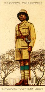 Corpo Volontario di Singapore, 1936