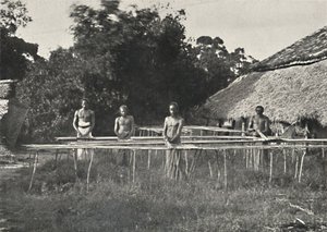 Lavoratori di cannella singalesi al lavoro, 1926 da Unbekannt