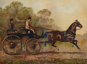 Cavallo Phaeton a singolo tiro Columbine. Proprietà di Charles Baynes Esq.