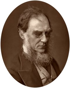 Sir Joseph Dalton Hooker, Direttore dei Giardini Reali di Kew, 1881 da Unbekannt