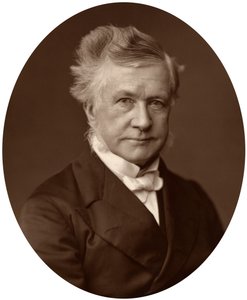Sir Robert Lush, Giudice dell
