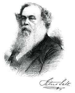 Sir Titus Salt, produttore e benefattore britannico, c1880 da Unbekannt