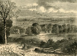 Sito del Crystal Palace nel 1852, c1878 da Unbekannt