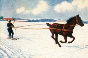 Skijöring in Svezia da Unbekannt