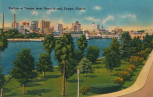 Skyline di Tampa, dall