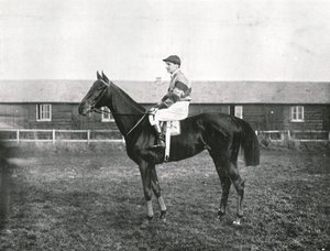 Grattacielo, 1911 da Unbekannt