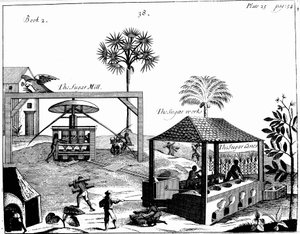 Lavoro degli schiavi in una piantagione di zucchero nelle Indie Occidentali, 1725 da Unbekannt