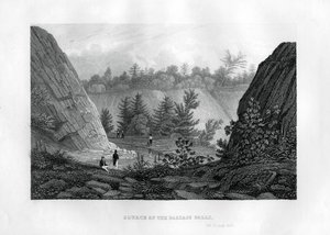 Sorgente delle cascate del Passaic, New Jersey da Unbekannt