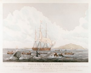 Pesca alla balena nel Mar del Sud, 1825 da Unbekannt