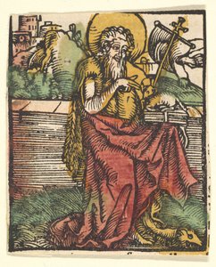 San Giovanni Battista copia, dopo il 1511