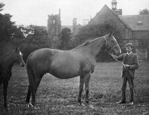 St Marguerite, cavallo da corsa britannico, 1895 da Unbekannt