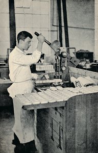 Blocchi di sapone stampati, c1917 da Unbekannt
