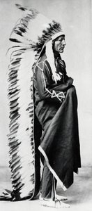 Standing Bear, Capo dei Dakota Sioux, Indiani delle Pianure Nordamericane da Unbekannt