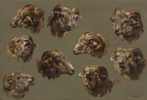 Studi di teste di ariete, 1700s