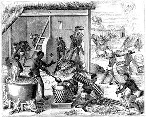 Produzione di zucchero, 1873 da Unbekannt