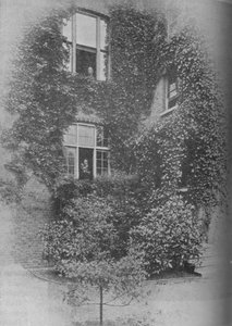 Estate a The Pines, c1909 da Unbekannt