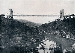 Ponte sospeso, Middle Harbour