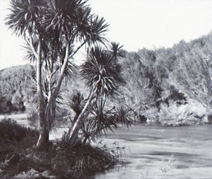 Fiume Te Waihou, Okoroire