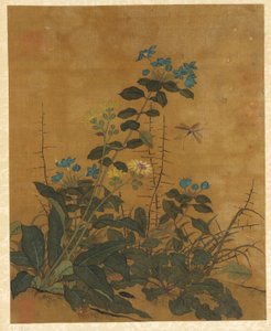 Dieci immagini di fiori, frutti e uccelli da Unbekannt