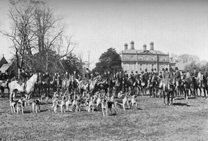 I cani di Albrighton: Un incontro a Stretton, c1903