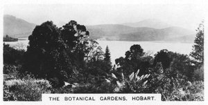 I Giardini Botanici, Hobart, Tasmania, 1928 da Unbekannt