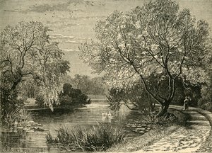 I giardini botanici, Regents Park, c1876 da Unbekannt