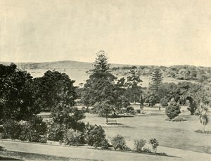 I Giardini Botanici di Sydney da Unbekannt