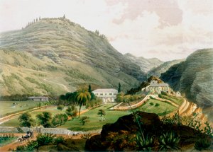 The Briars, Sant