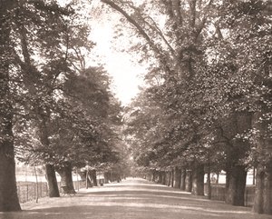 The Broad Walk, Oxford, 1894 da Unbekannt