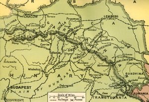 I passi dei Carpazi, 1919