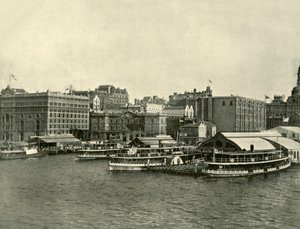 Il Circular Quay, Sydney, 1901 da Unbekannt