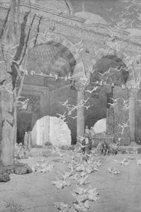 Il cortile della Moschea dei Piccioni, 1913