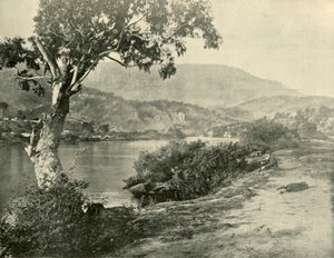 Il Derwent a New Norfolk, 1901 da Unbekannt