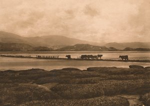 Il Dovey a Ynyslas, 1902 da Unbekannt