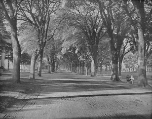 The Elms, New Haven, Conn., c. 1897