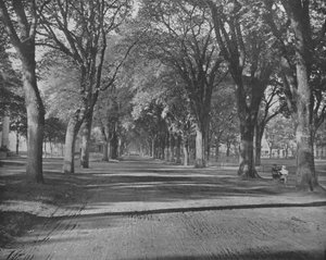 The Elms, New Haven, Connecticut, USA, c1900