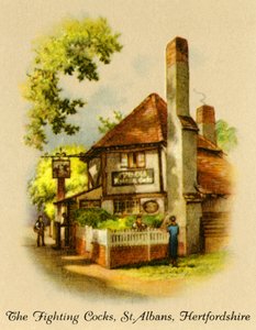 I galli combattenti, St. Albans, Hertfordshire, 1936