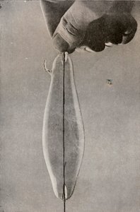 La prima lampada elettrica a incandescenza, c. 1916