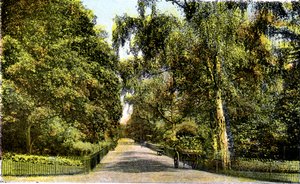 Il Viale dei Fiori, Kensington Gardens, Londra, XX secolo