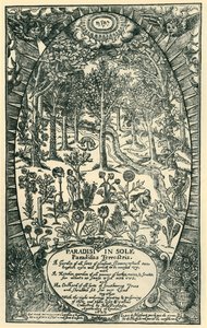 Il Giardino dell