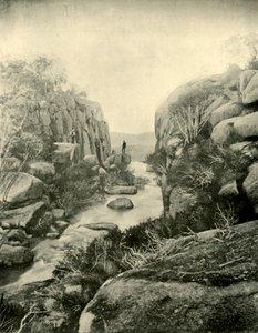 La gola, cascate di Buffalo, Alpi Vittoriane, 1901 da Unbekannt
